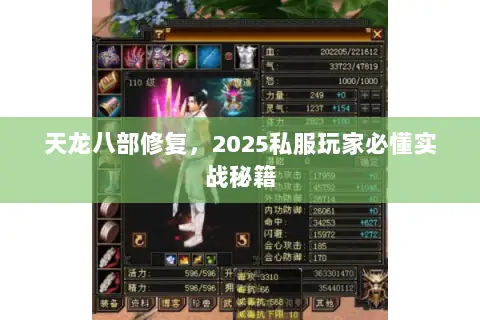 天龙八部修复,2025私服玩家必懂实战秘籍 天龙八部修复,2025私服玩家必懂实战秘籍