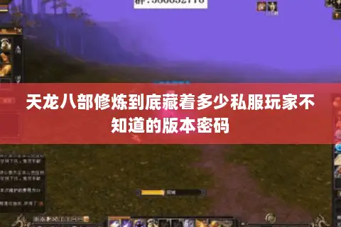 天龙八部修炼到底藏着多少私服玩家不知道的版本密码