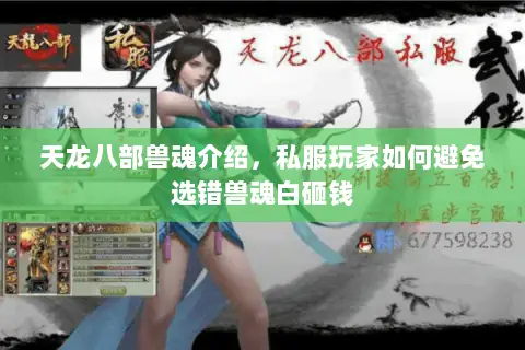 天龙八部兽魂介绍,私服玩家如何避免选错兽魂白砸钱 天龙八部兽魂介绍,私服玩家如何避免选错兽魂白砸钱
