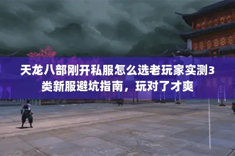 天龙八部刚开私服怎么选老玩家实测3类新服避坑指南，玩对了才爽