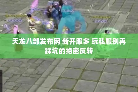 天龙八部发布网 新开服多 玩私服别再踩坑的绝密反转