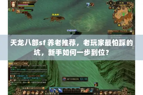天龙八部sf 养老推荐，老玩家最怕踩的坑，新手如何一步到位？