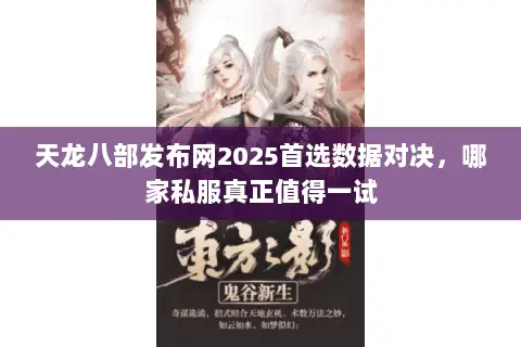天龙八部发布网2025首选数据对决,哪家私服真正值得一试 天龙八部发布网2025首选数据对决,哪家私服真正值得一试