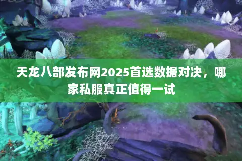 天龙八部发布网2025首选数据对决,哪家私服真正值得一试 天龙八部发布网2025首选数据对决,哪家私服真正值得一试