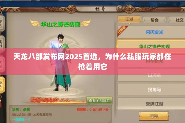 天龙八部发布网2025首选,为什么私服玩家都在抢着用它 天龙八部发布网2025首选,为什么私服玩家都在抢着用它