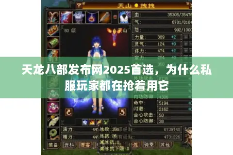 天龙八部发布网2025首选,为什么私服玩家都在抢着用它 天龙八部发布网2025首选,为什么私服玩家都在抢着用它