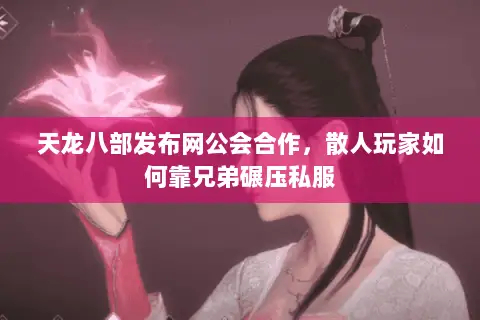 天龙八部发布网公会合作，散人玩家如何靠兄弟碾压私服