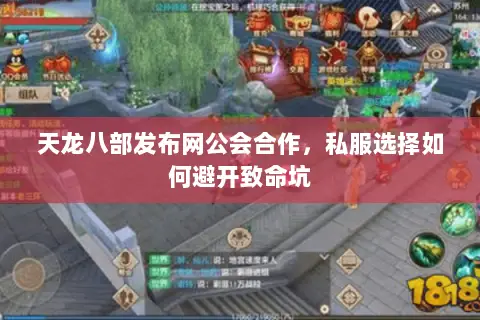 天龙八部发布网公会合作,私服选择如何避开致命坑 天龙八部发布网公会合作,私服选择如何避开致命坑