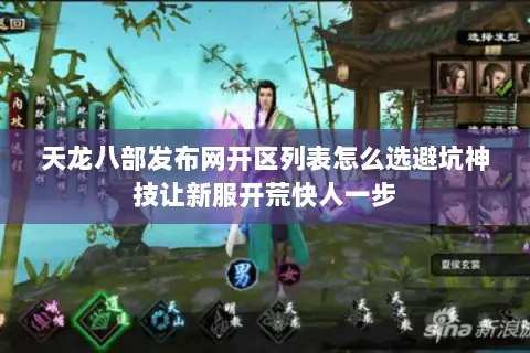 天龙八部发布网开区列表怎么选避坑神技让新服开荒快人一步 天龙八部发布网开区列表怎么选避坑神技让新服开荒快人一步
