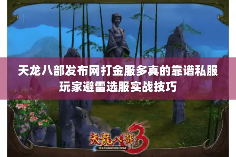 天龙八部发布网打金服多真的靠谱私服玩家避雷选服实战技巧 天龙八部发布网打金服多真的靠谱私服玩家避雷选服实战技巧