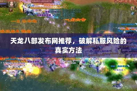 天龙八部发布网推荐，破解私服风险的真实方法