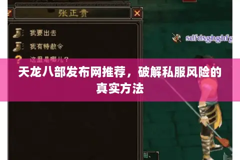 天龙八部发布网推荐，破解私服风险的真实方法