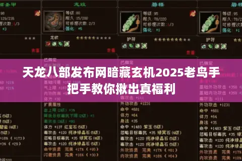 天龙八部发布网暗藏玄机2025老鸟手把手教你揪出真福利 天龙八部发布网暗藏玄机2025老鸟手把手教你揪出真福利