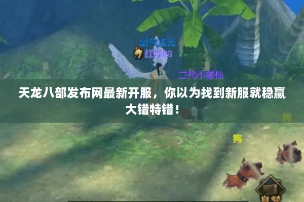 天龙八部发布网最新开服，你以为找到新服就稳赢大错特错！