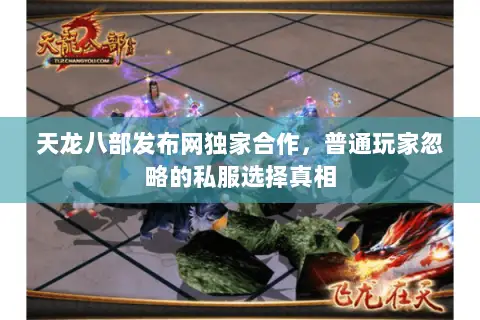 天龙八部发布网独家合作，普通玩家忽略的私服选择真相