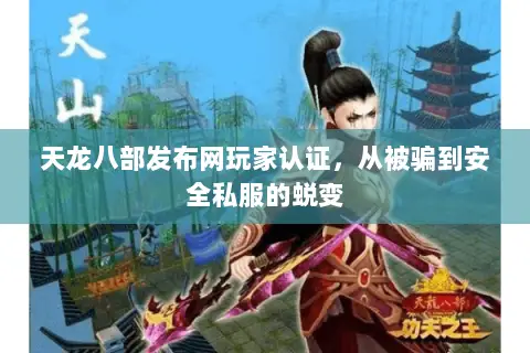 天龙八部发布网玩家认证，从被骗到安全私服的蜕变