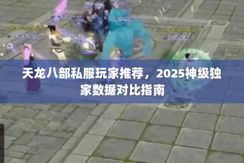 天龙八部私服玩家推荐,2025神级独家数据对比指南 天龙八部私服玩家推荐,2025神级独家数据对比指南
