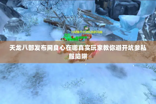 天龙八部发布网良心在哪真实玩家教你避开坑爹私服陷阱 天龙八部发布网良心在哪真实玩家教你避开坑爹私服陷阱