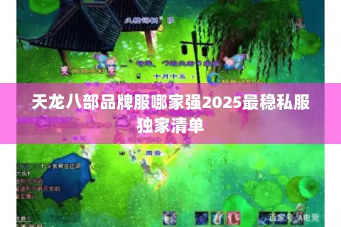 天龙八部品牌服哪家强2025最稳私服独家清单 天龙八部品牌服哪家强2025最稳私服独家清单