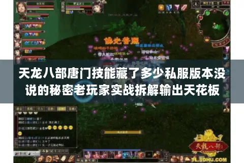 天龙八部唐门技能藏了多少私服版本没说的秘密老玩家实战拆解输出天花板
