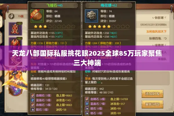 天龙八部国际私服挑花眼2025全球85万玩家聚焦三大神端 天龙八部国际私服挑花眼2025全球85万玩家聚焦三大神端