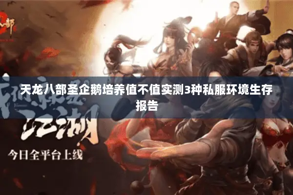 天龙八部圣企鹅培养值不值实测3种私服环境生存报告 天龙八部圣企鹅培养值不值实测3种私服环境生存报告