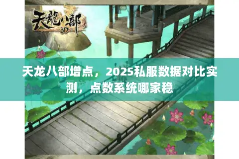 天龙八部增点,2025私服数据对比实测,点数系统哪家稳 天龙八部增点,2025私服数据对比实测,点数系统哪家稳