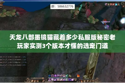 天龙八部墨镜猫藏着多少私服版秘密老玩家实测3个版本才懂的选宠门道 天龙八部墨镜猫藏着多少私服版秘密老玩家实测3个版本才懂的选宠门道