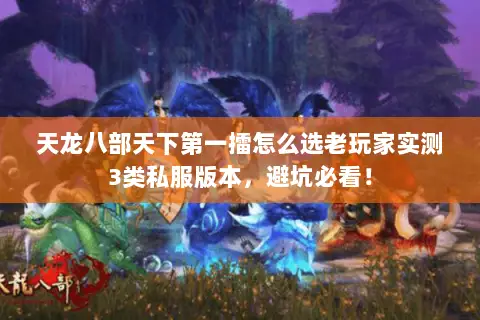 天龙八部天下第一擂怎么选老玩家实测3类私服版本,避坑必看! 天龙八部天下第一擂怎么选老玩家实测3类私服版本,避坑必看!