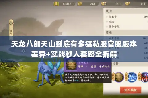 天龙八部天山到底有多猛私服官服版本差异+实战秒人套路全拆解 天龙八部天山到底有多猛私服官服版本差异+实战秒人套路全拆解