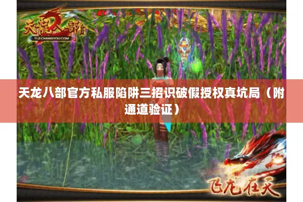 天龙八部官方私服陷阱三招识破假授权真坑局（附通道验证）