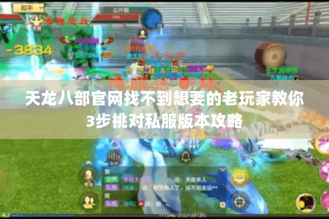 天龙八部官网找不到想要的老玩家教你3步挑对私服版本攻略