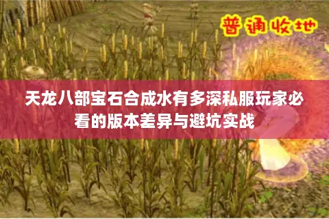 天龙八部宝石合成水有多深私服玩家必看的版本差异与避坑实战 天龙八部宝石合成水有多深私服玩家必看的版本差异与避坑实战