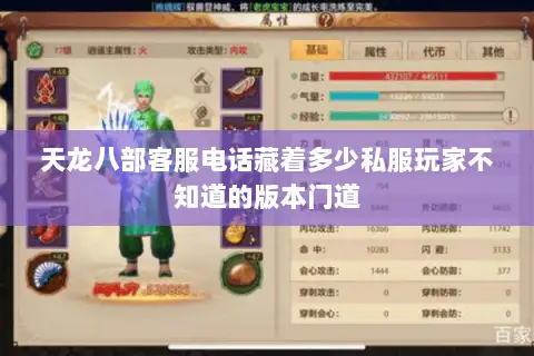 天龙八部客服电话藏着多少私服玩家不知道的版本门道 天龙八部客服电话藏着多少私服玩家不知道的版本门道