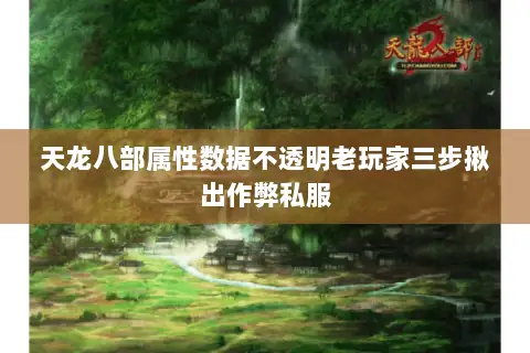 天龙八部属性数据不透明老玩家三步揪出作弊私服 天龙八部属性数据不透明老玩家三步揪出作弊私服