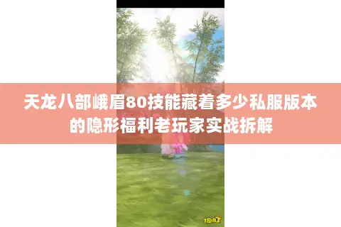 天龙八部峨眉80技能藏着多少私服版本的隐形福利老玩家实战拆解