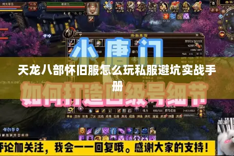 天龙八部怀旧服怎么玩私服避坑实战手册 天龙八部怀旧服怎么玩私服避坑实战手册