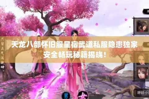 天龙八部怀旧服星宿武道私服隐患独家安全畅玩秘籍揭晓! 天龙八部怀旧服星宿武道私服隐患独家安全畅玩秘籍揭晓!