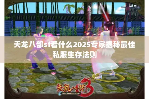 天龙八部sf看什么2025专家揭秘最佳私服生存法则 天龙八部sf看什么2025专家揭秘最佳私服生存法则