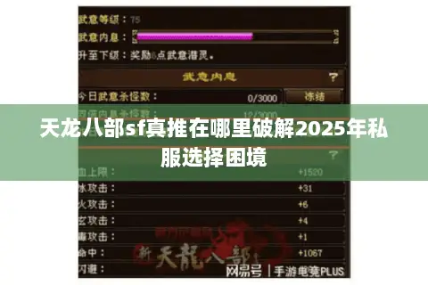 天龙八部sf真推在哪里破解2025年私服选择困境