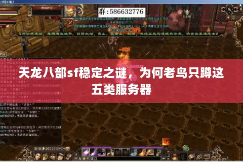 天龙八部sf稳定之谜,为何老鸟只蹲这五类服务器 天龙八部sf稳定之谜,为何老鸟只蹲这五类服务器