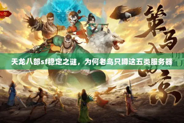 天龙八部sf稳定之谜,为何老鸟只蹲这五类服务器 天龙八部sf稳定之谜,为何老鸟只蹲这五类服务器