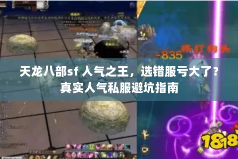 天龙八部sf 人气之王,选错服亏大了?真实人气私服避坑指南 天龙八部sf 人气之王,选错服亏大了?真实人气私服避坑指南