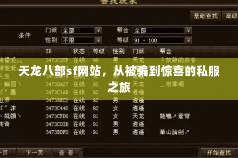 天龙八部sf网站，从被骗到惊喜的私服之旅