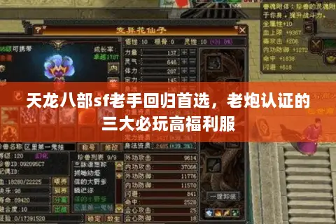 天龙八部sf老手回归首选，老炮认证的三大必玩高福利服