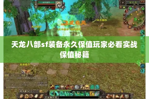 天龙八部sf装备永久保值玩家必看实战保值秘籍 天龙八部sf装备永久保值玩家必看实战保值秘籍