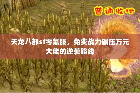 天龙八部sf零氪服,免费战力碾压万元大佬的逆袭路线 天龙八部sf零氪服,免费战力碾压万元大佬的逆袭路线