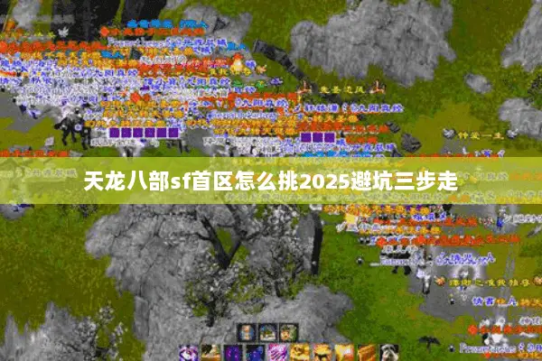 天龙八部sf首区怎么挑2025避坑三步走 天龙八部sf首区怎么挑2025避坑三步走