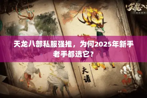 天龙八部私服强推，为何2025年新手老手都选它？