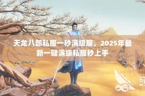 天龙八部私服一秒满级服，2025年最新一键满级私服秒上手